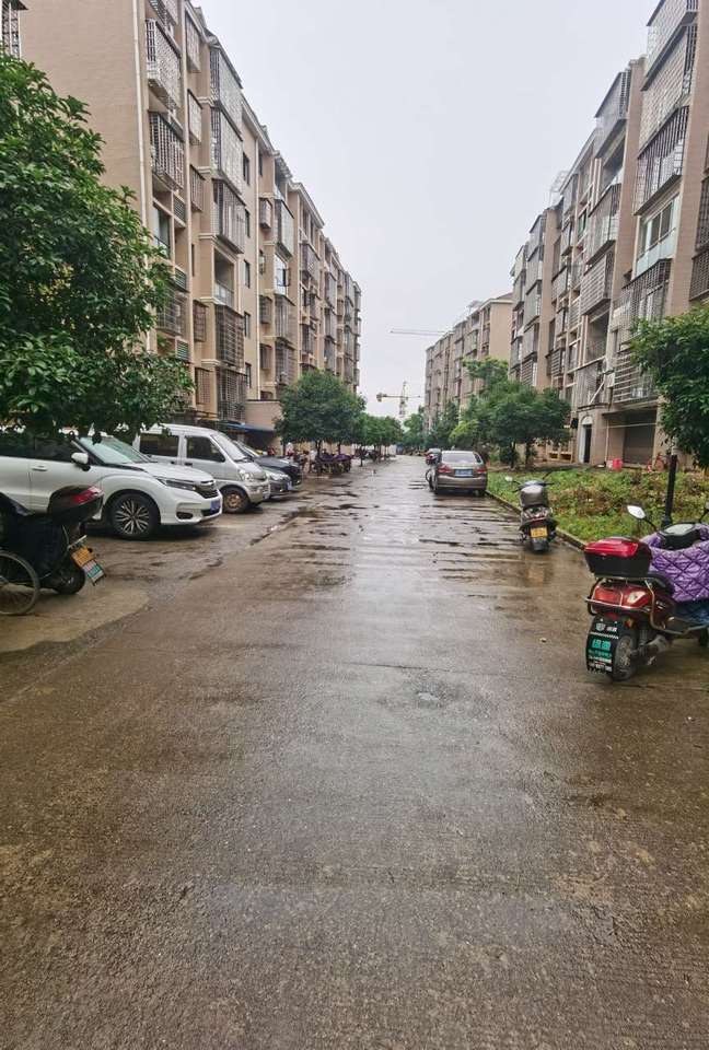 安仁县永乐江镇七一西路神龙国际小区C20栋3层1-302房法拍房图片1