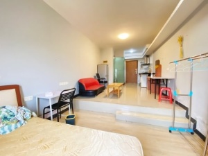 东尚新地 1室1厅 40㎡ 整租中山东区街道沙岗墟租房图片