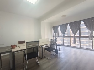 金河湾1881 4室2厅 160㎡ 整租衡阳蒸湘区区政府北租房图片