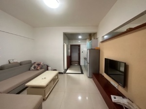 天润天城 1室1厅 59㎡ 整租_郴州北湖区龙泉租房图片