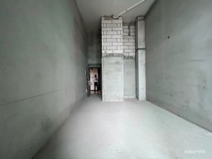 完美金鹰公馆 1室1厅 47.44㎡ 毛坯中山石岐街道市人大二手房图片