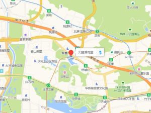 深圳天鹅湖花园一期新房楼盘图片